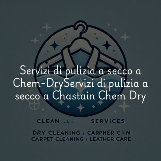 Servizi di pulizia a secco a