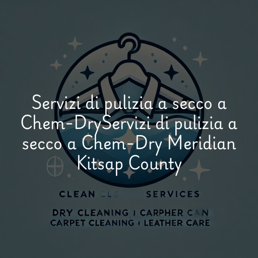 Servizi di pulizia a secco a