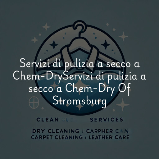 Servizi di pulizia a secco a