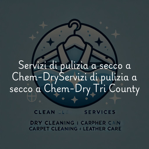 Servizi di pulizia a secco a