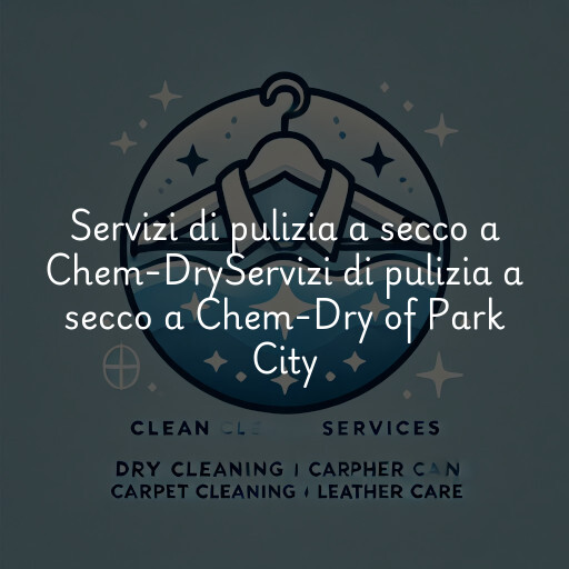 Servizi di pulizia a secco a