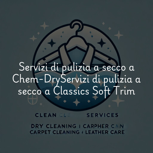 Servizi di pulizia a secco a
