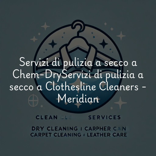 Servizi di pulizia a secco a