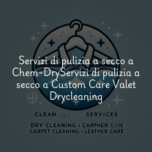 Servizi di pulizia a secco a