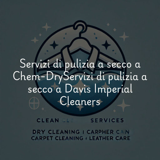 Servizi di pulizia a secco a