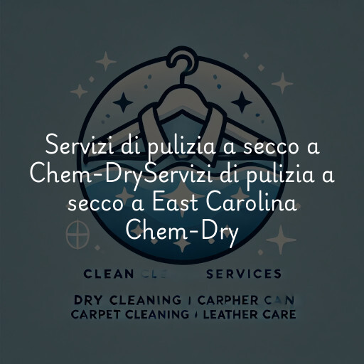 Servizi di pulizia a secco a