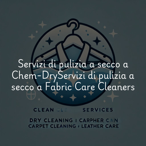 Servizi di pulizia a secco a