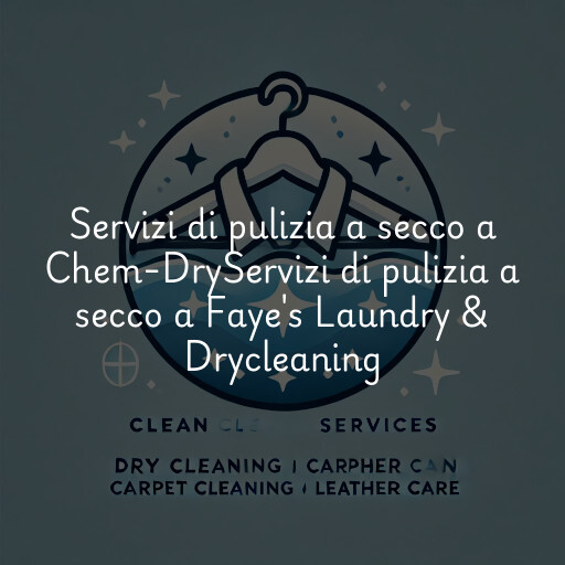 Servizi di pulizia a secco a