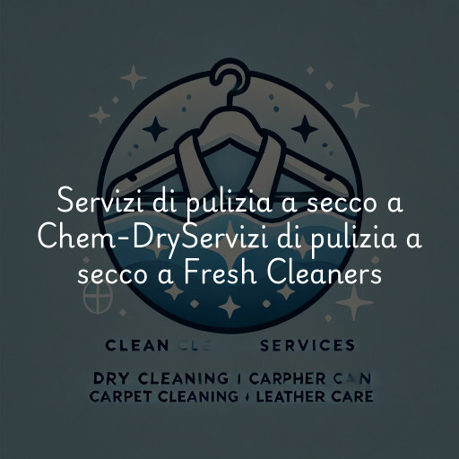 Servizi di pulizia a secco a