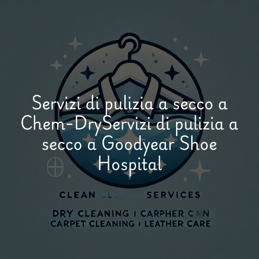 Servizi di pulizia a secco a