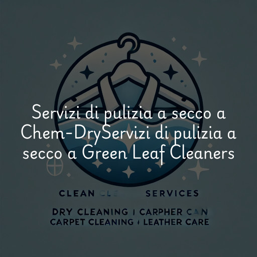 Servizi di pulizia a secco a