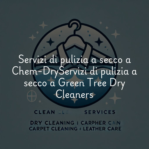 Servizi di pulizia a secco a
