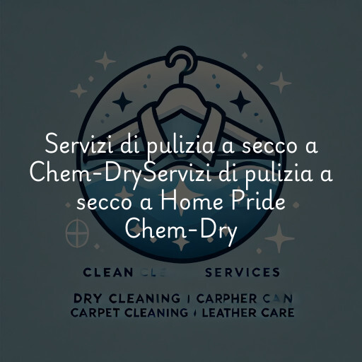 Servizi di pulizia a secco a