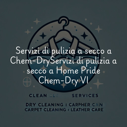 Servizi di pulizia a secco a