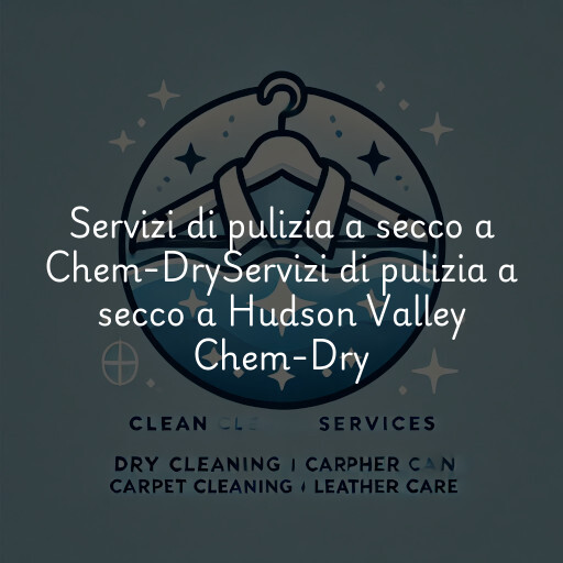 Servizi di pulizia a secco a