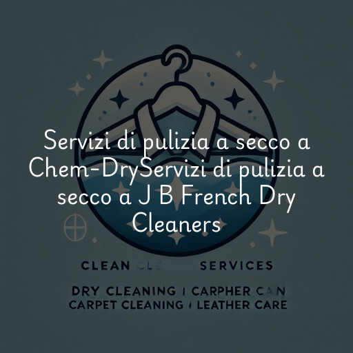 Servizi di pulizia a secco a