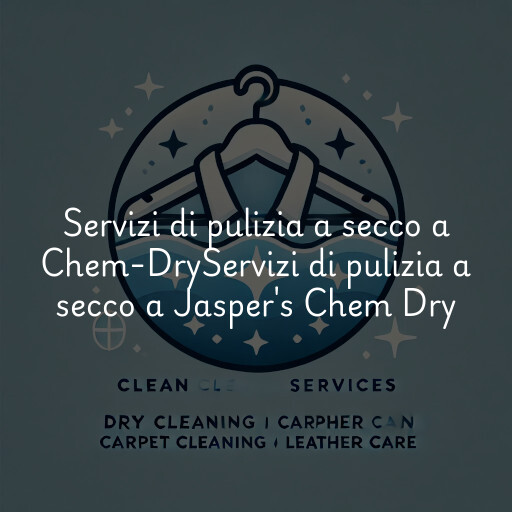 Servizi di pulizia a secco a