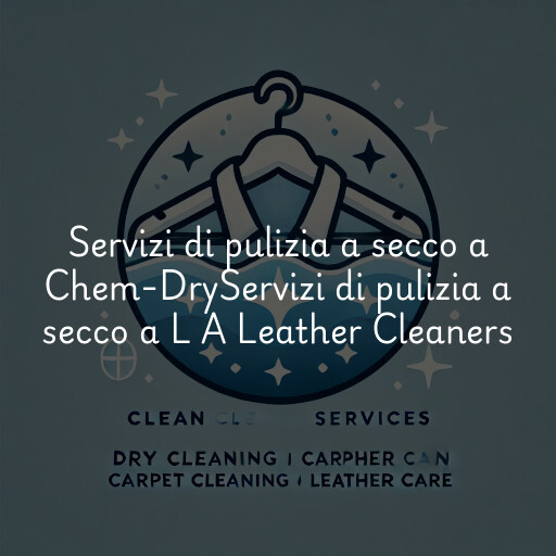 Servizi di pulizia a secco a