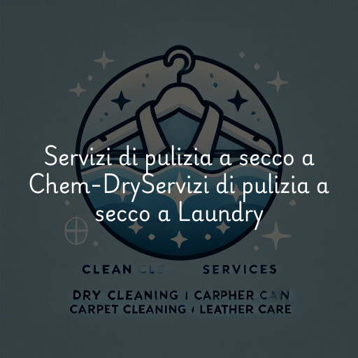 Servizi di pulizia a secco a