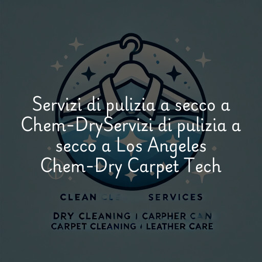Servizi di pulizia a secco a