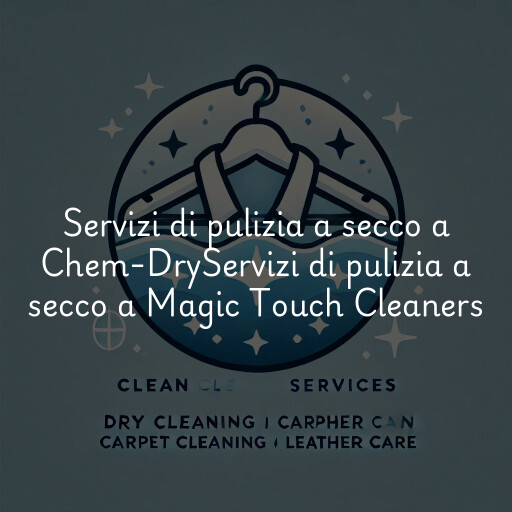 Servizi di pulizia a secco a