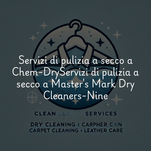 Servizi di pulizia a secco a
