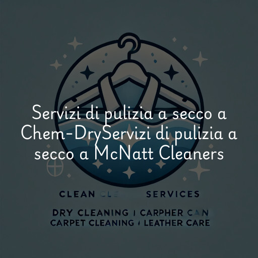 Servizi di pulizia a secco a