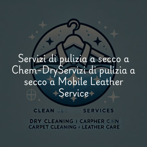 Servizi di pulizia a secco a