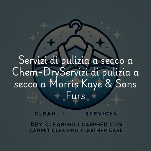 Servizi di pulizia a secco a