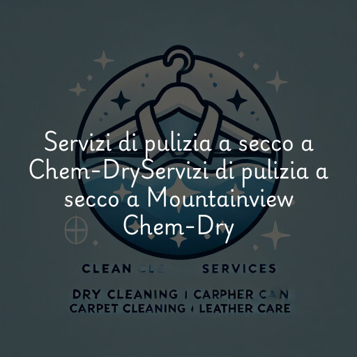 Servizi di pulizia a secco a