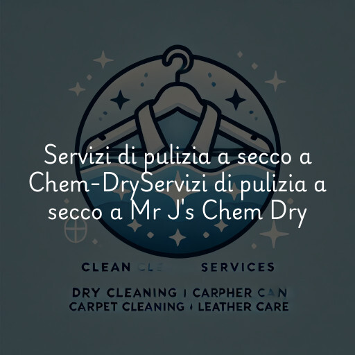 Servizi di pulizia a secco a