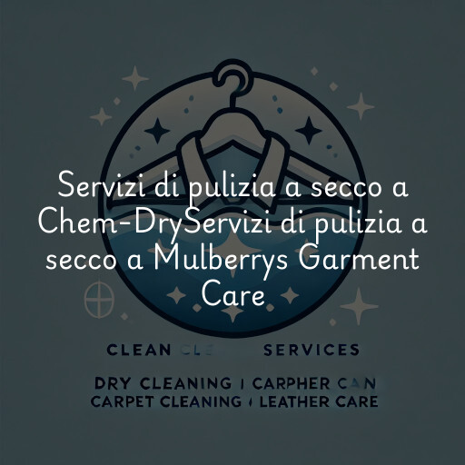 Servizi di pulizia a secco a