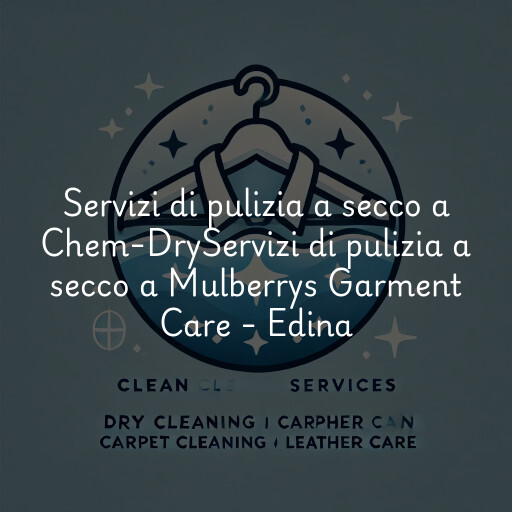 Servizi di pulizia a secco a