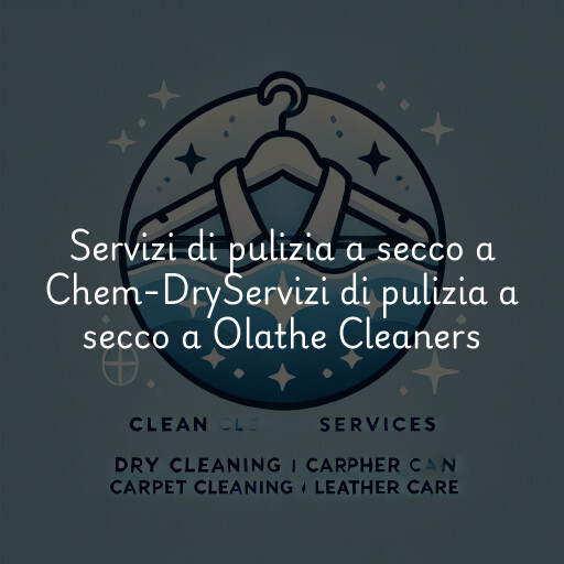 Servizi di pulizia a secco a