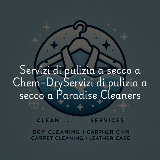 Servizi di pulizia a secco a