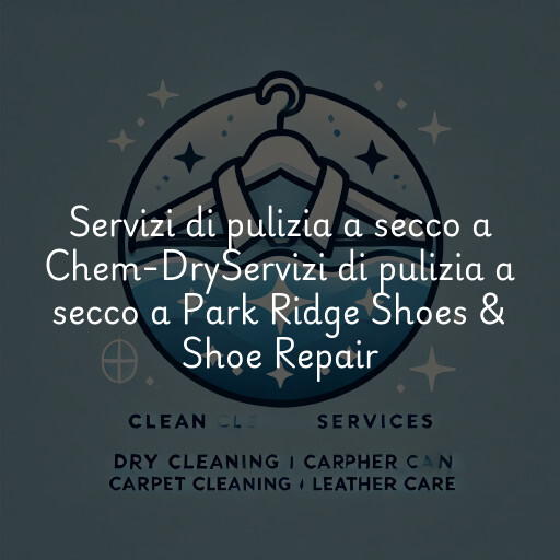 Servizi di pulizia a secco a