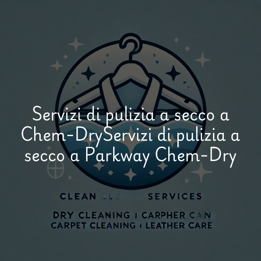 Servizi di pulizia a secco a