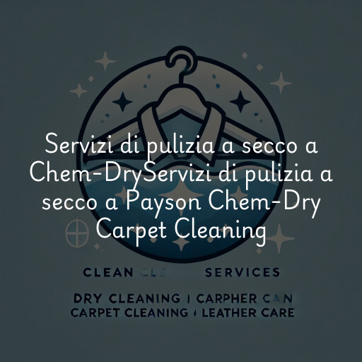 Servizi di pulizia a secco a