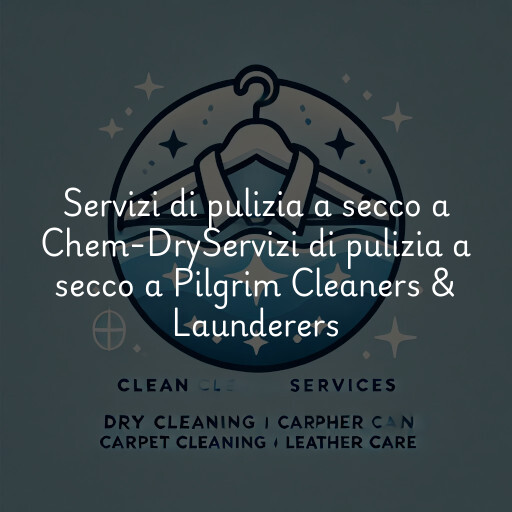 Servizi di pulizia a secco a