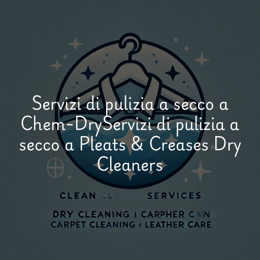 Servizi di pulizia a secco a