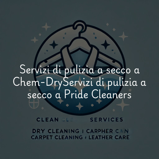 Servizi di pulizia a secco a