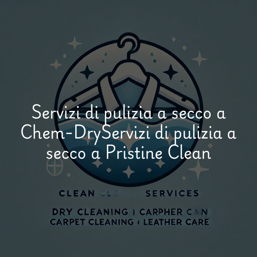 Servizi di pulizia a secco a