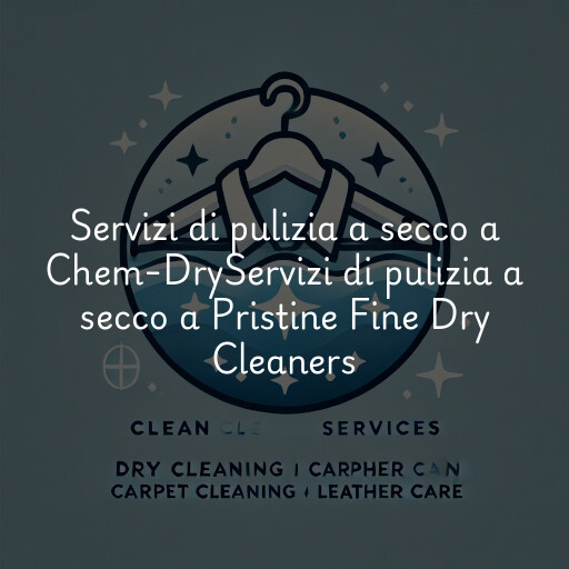 Servizi di pulizia a secco a