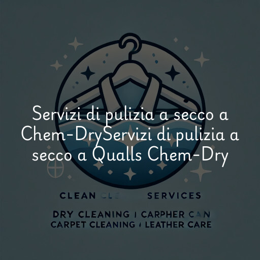 Servizi di pulizia a secco a