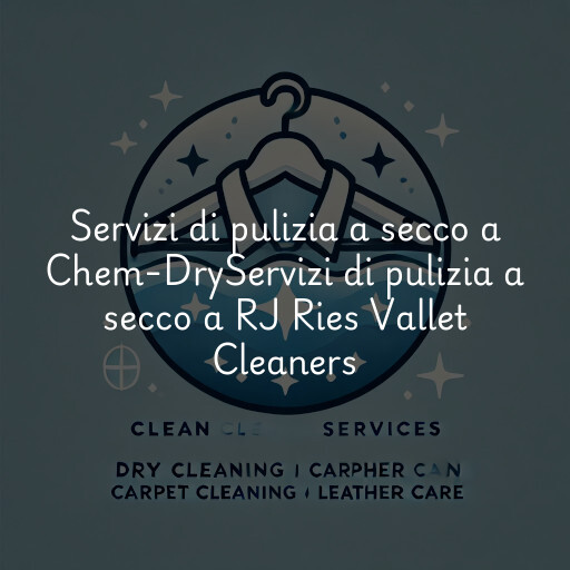 Servizi di pulizia a secco a