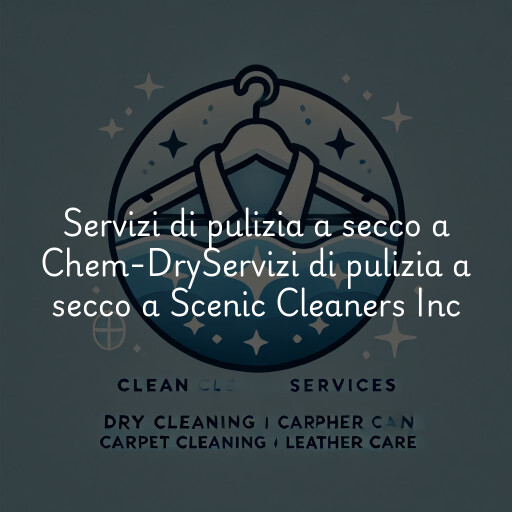 Servizi di pulizia a secco a