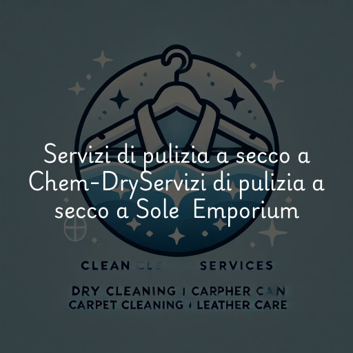 Servizi di pulizia a secco a