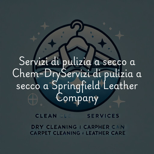 Servizi di pulizia a secco a