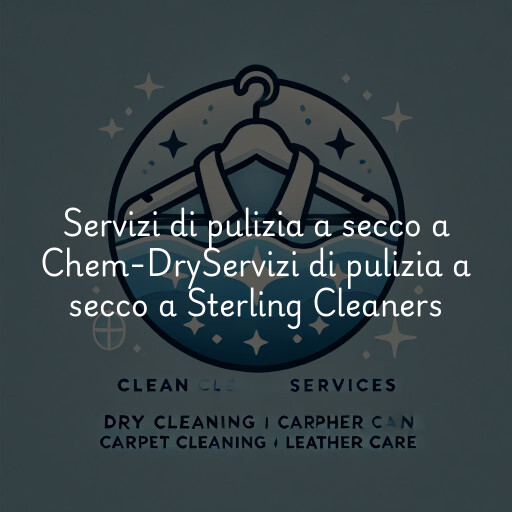 Servizi di pulizia a secco a
