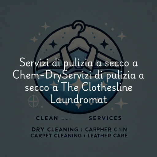 Servizi di pulizia a secco a